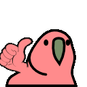 thumbs_up_parrot