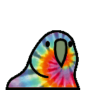 tie_dye_parrot