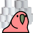 tp_parrot