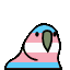 trans-parrot