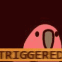 triggered_parrot