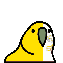 vatican_parrot