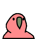 vertical_parrot