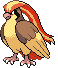 pidgeot